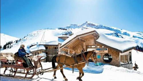 Avoriaz - Portes du Soleil : Aux pieds des pistes - Foto 5