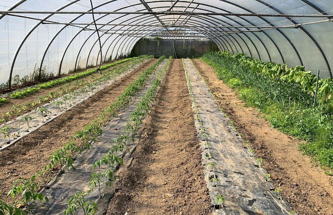 Agroturismo Urresti - Foto 48