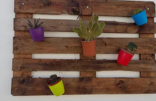 CasinhaD'Alice - Foto 16