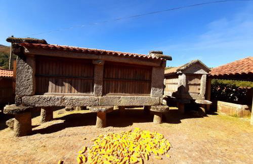 Casa da Fichua - Foto 34