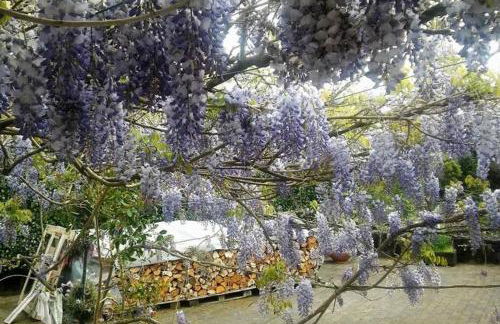 Quinta do Areeiro - Foto 38