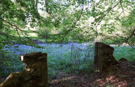 The Old Convent Holiday Apartments - Foto 38