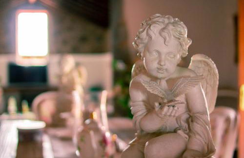 Finca Los Ángeles - Foto 57