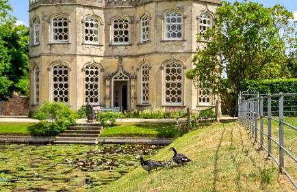 The Orangery - Foto 5