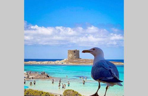 Villetta Esclusiva sulla Spiaggia della Pelosa - Foto 26
