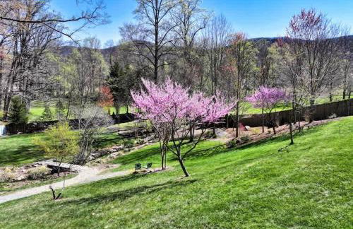 Apeldoorn House - 25 min to downtown Asheville - Foto 30