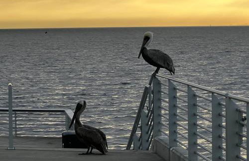 Stylish Studio Walk 2Dtwn Bikes l Patio l Beach - Foto 13