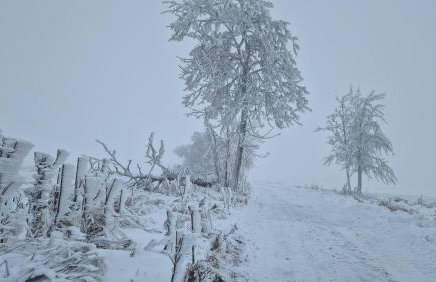 Derkaczowa Kotlina - Foto 68