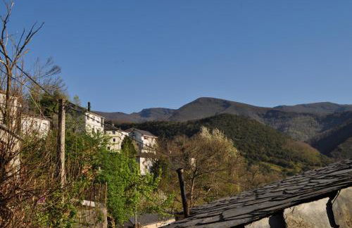 Ollar do Cido - Foto 32