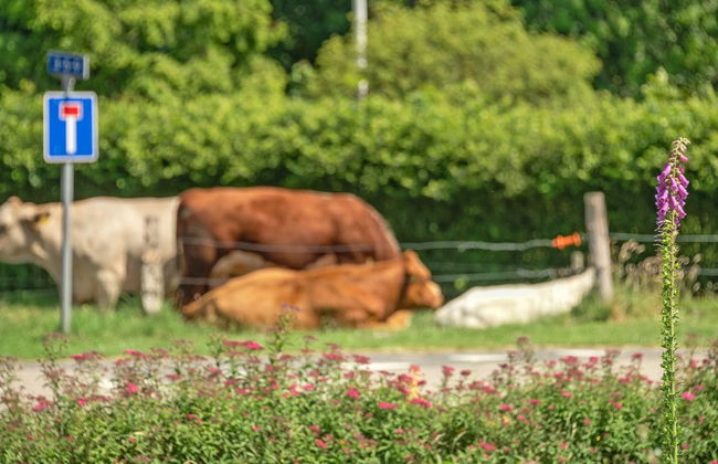 2 bedroom House in Egernsund with terrace - Photo 3