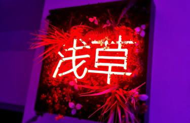 T2 Asakusa - Casseaux - Bords de Vienne - Limoges - Photo 16