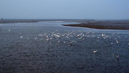 Ferienhaus Wattmöwe - Foto 3
