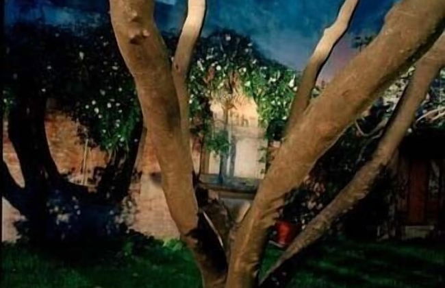 Palazzo Soderini - Photo 31