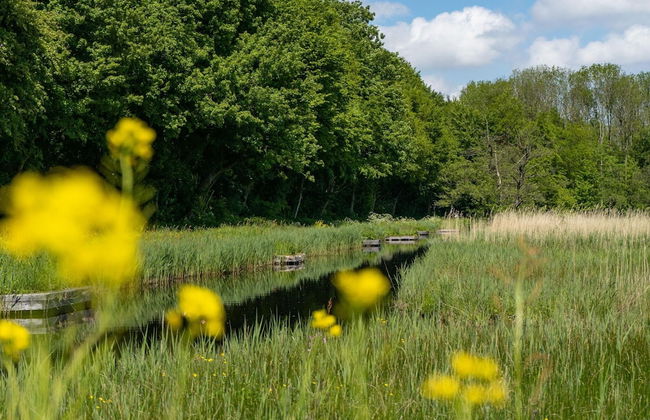 Colorful Chalet Near Amsterdam - Foto 35