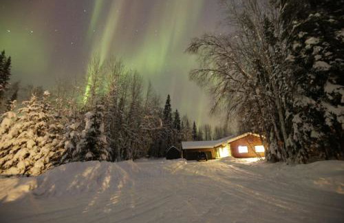 Fly Away Home with Aurora Views - Foto 37