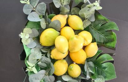 Villa Minerva Zadar - Photo 44