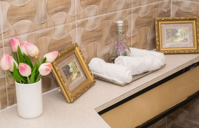 Rochester Modern Chic Apartment - Photo 1