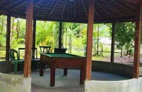 Chácara Bela Vista - Photo 48