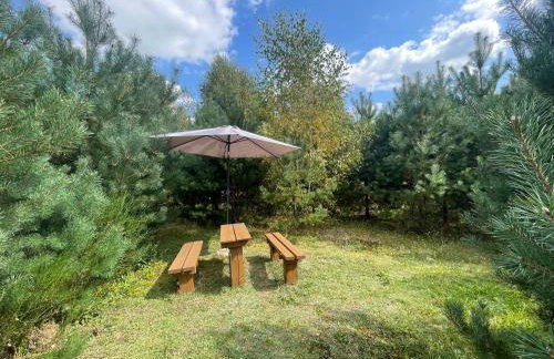 DoWielina - domki wśród natury - Foto 34