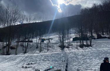 Tra gli ulivi - Foto 30