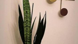 My Spiritual Vintage Home For You! - Foto 4