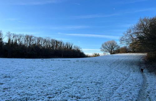 Kabin in the woods with Hot Tub - Foto 15