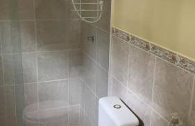 Vale das Estrelas - vale das videiras - araras - Foto 15