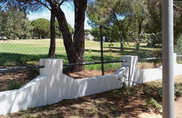 Cigüeñas - Foto 72