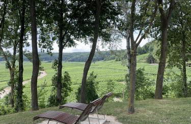 Pink Tropical Champagne - Foto 64