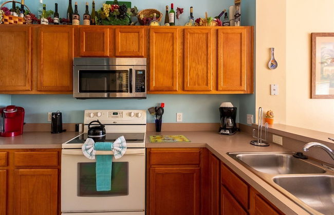 Private Screened Splash Pool Overlooking Tranquil Lake Right Beside Disney World by Florida Dream Homes - Foto 11