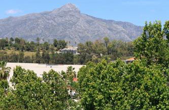 RANHOMES RENTALS APARTMENTS - Photo 45