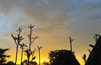 Sehr schöne, große und zentral gelegene Wohnung - Foto 5