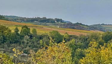 La cabotte du renard - Foto 5