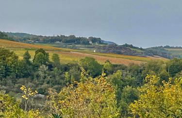 La cabotte du renard - Foto 5