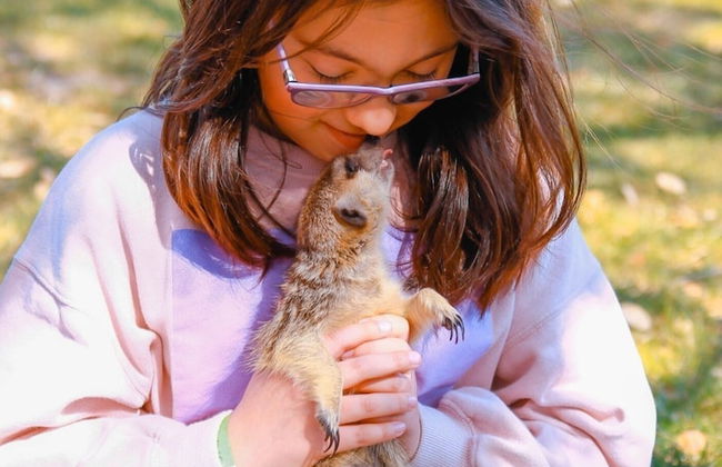 Natura Fun House & Camping - Foto 36