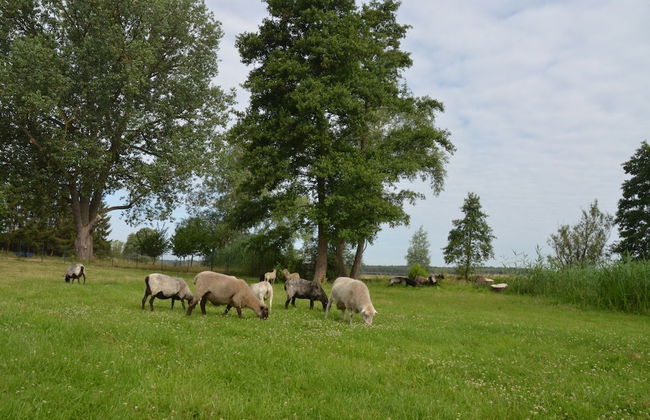 Kulturhof - Photo 25