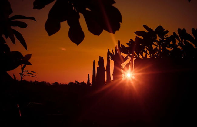 Bhavana Cottage - Foto 46