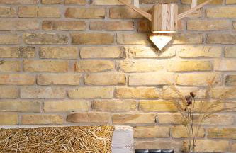 Green Deer Premium - Foto 116