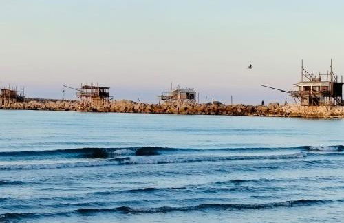 Perla marina - Foto 34