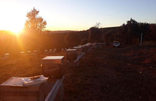 Apimonte Casa do Serra - PN Montesinho - Foto 72