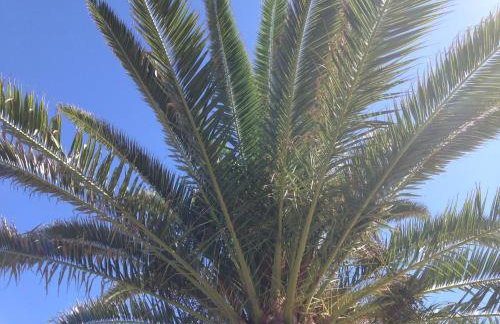 Apartamento La Barca "Rooftop BBQ Chill-out with Top View" - Foto 43