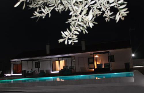 Terras - Agroturismo & Vinhos - Foto 12