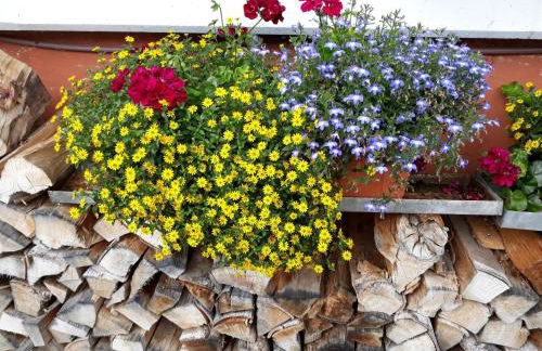 Isoldes Landhaus - Foto 24