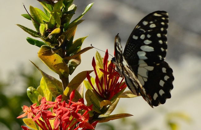 The Cabin at Long Mountain Country Club - Foto 28