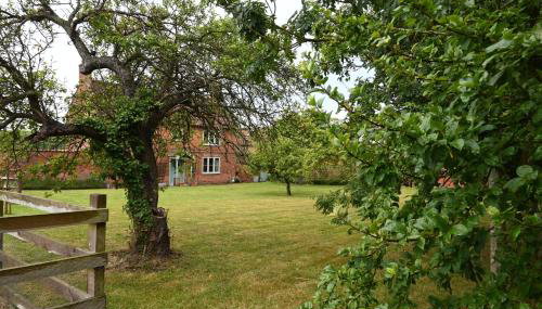 Leo's Holiday Cottage - Foto 5, Garden