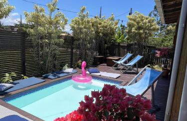 Capim Limão Containers do Rosa - Foto 45