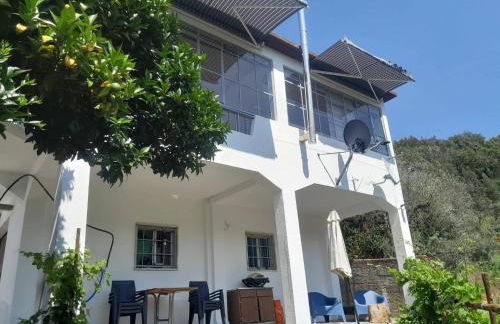 Adcasinha em Arganil - Foto 65