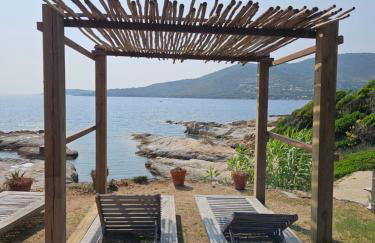 Bella Stella - Foto 3