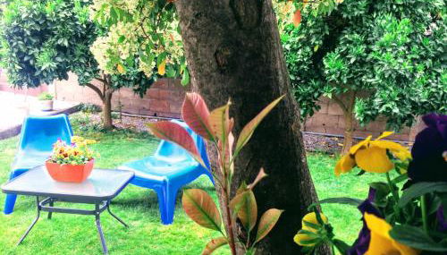 Casa de Férias MariCeu Mirandela - Foto 3, Garden