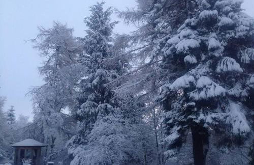 The Beeches Studio, Highlands of Scotland - Foto 21